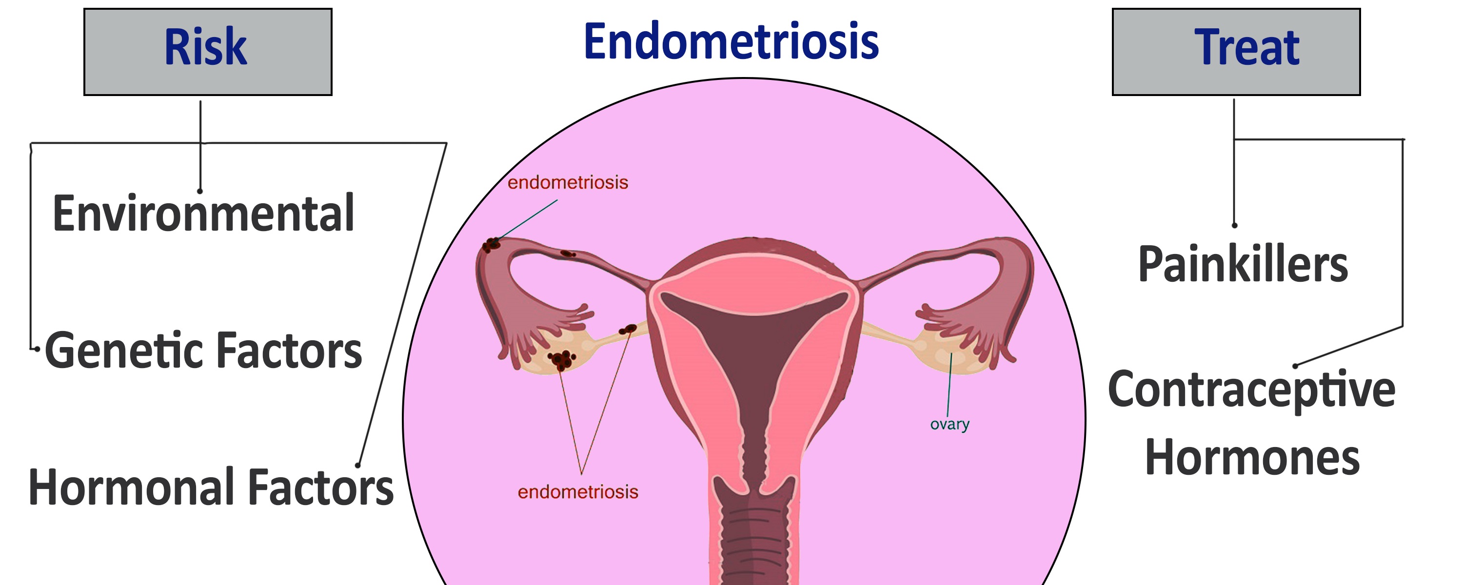 Endometriosis as female reproductive system disorder: mechanisms, diagnosis and clinical management 