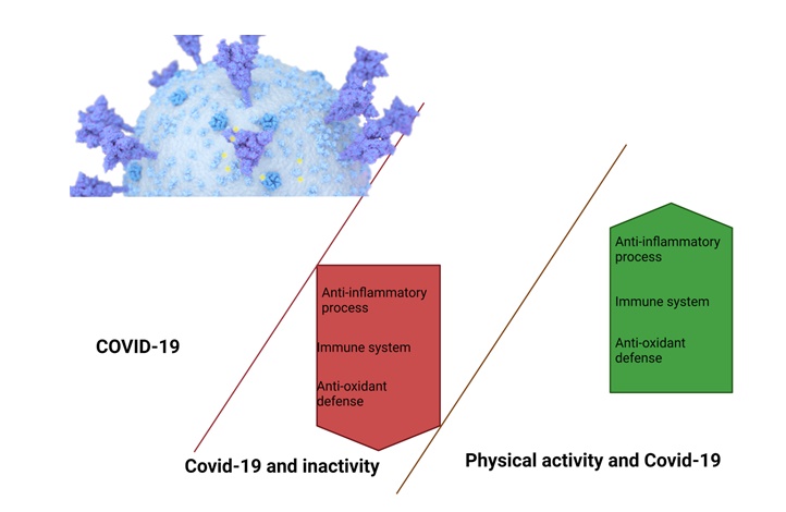 The vital function of physical activity, exercise, and diet in the management of COVID-19 Symptoms 