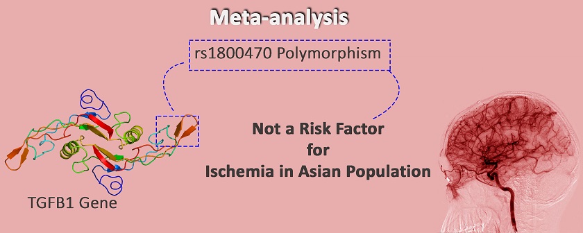 Association analysis of rs1800470 (T869C) variation in TGFB1 gene with the risk of ischemic stroke in Asian population 