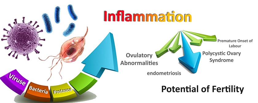 Association of inflammation with female reproductive system disorders 