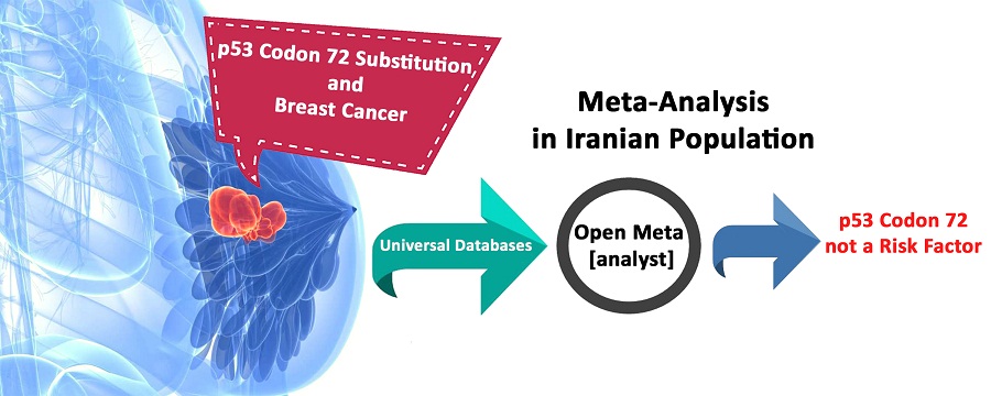 Quantitative analysis of p53 substitution mutation and breast cancer; An informative study in Iranian population 